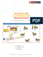 Manual de Acompanamiento Pedagogico A IE