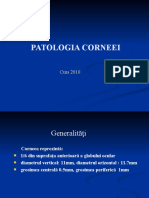 2.patologia Corneei