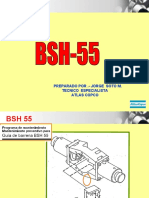 Animacion BSH55