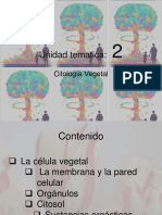 Citologia Vegeral (Tema2) PDF