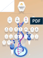 Conceptos Básicos de La Genética (Esquema)