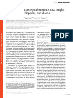 The Epithelial-Mesenchymal Transition: New Insights in Signaling, Development, and Disease