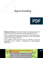 Pedigree Breeding