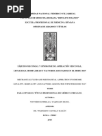 UNFV Victorio Estrella Yaquelin Diana Titulo Profesional 2018