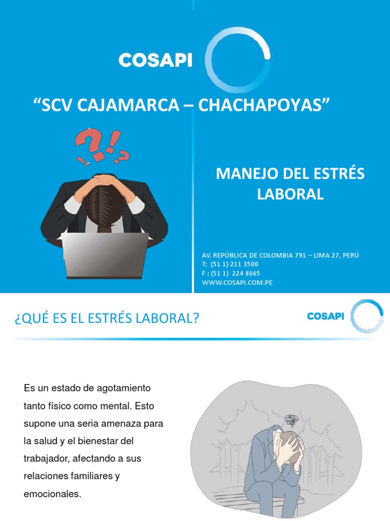 Capacitación en Manejo Del Estres Laboral | PDF | Estrés (biología ...