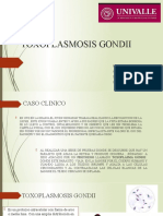 Toxoplasmosis Gondii