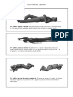 Posiciones Del Cadáver