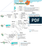 Areas de La Fonoaudiologia