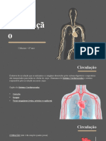 Aula de Bio - Circulação