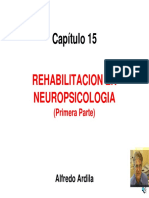 15 Rehabilitation Primera Partes