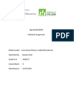 Big Data (6CS030) Individual Assignment