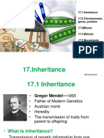 Inheritance