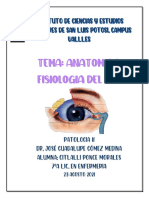 Anatomia y Fisiologia Del Ojo