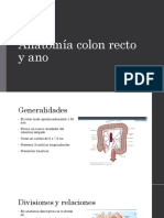 Anatomia de Colon, Recto y Ano