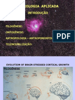 Cerebro - Telencefalizacao 1