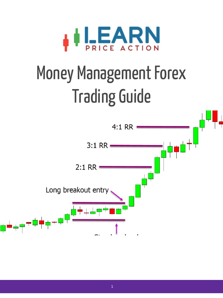 Money Management Forex Trading Quick Guide PDF Foreign Exchange