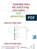 Trigonometria- Rt de Angulos Agudos