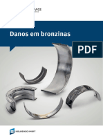 danos em bronzinas2