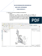 Tarea Qgis Intermedio M1-2 Avalos