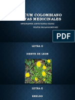 Vadecum Colombiano Plantas Medicinales