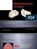 Modelos de Estudio