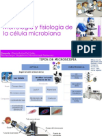 Morfología microbiana y Microscopia