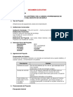 Resumen Ejecutivo Mejoramiento de Rotonda