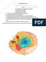  CITOLOGÍA