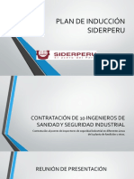 Plan de inducción para 10 ingenieros Siderperu