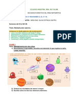 Actividades Del 23 Al 27 - 8