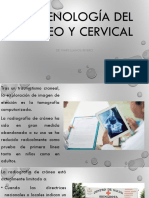 Tema 2 - Imagenología Del Craneo y Cervical
