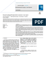 International Journal of Surgery Case Reports: Unusual Esophageal Foreign Body in Neonates: A Case Report