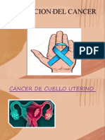Prevencion de Cancer