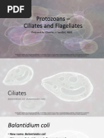 Protozoans - Ciliates and Flagellates