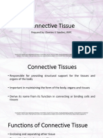 Connective Tissue Part 1