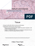 Epithelial Tissue