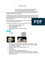 Mineralogia Clase 13