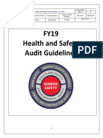 HS Audit Guidelines FY19 06292018
