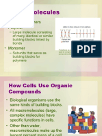 Macromolecules: - Most Are Polymers - Polymer