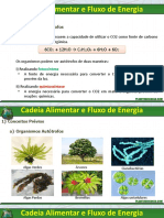 Cadeia Alimentar e Fluxo de Energia