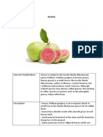 Guava: 1.report Text