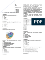 Latihan Soal PTS Ipa SM 2 KLS 7