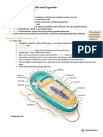 Bio Chapter 2