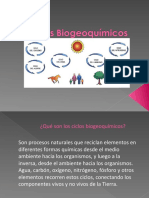 Ciclos Biogeoquímicos