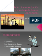 biorremediacion-petroleo