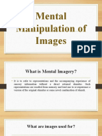 Mental Manipulation of Imagery