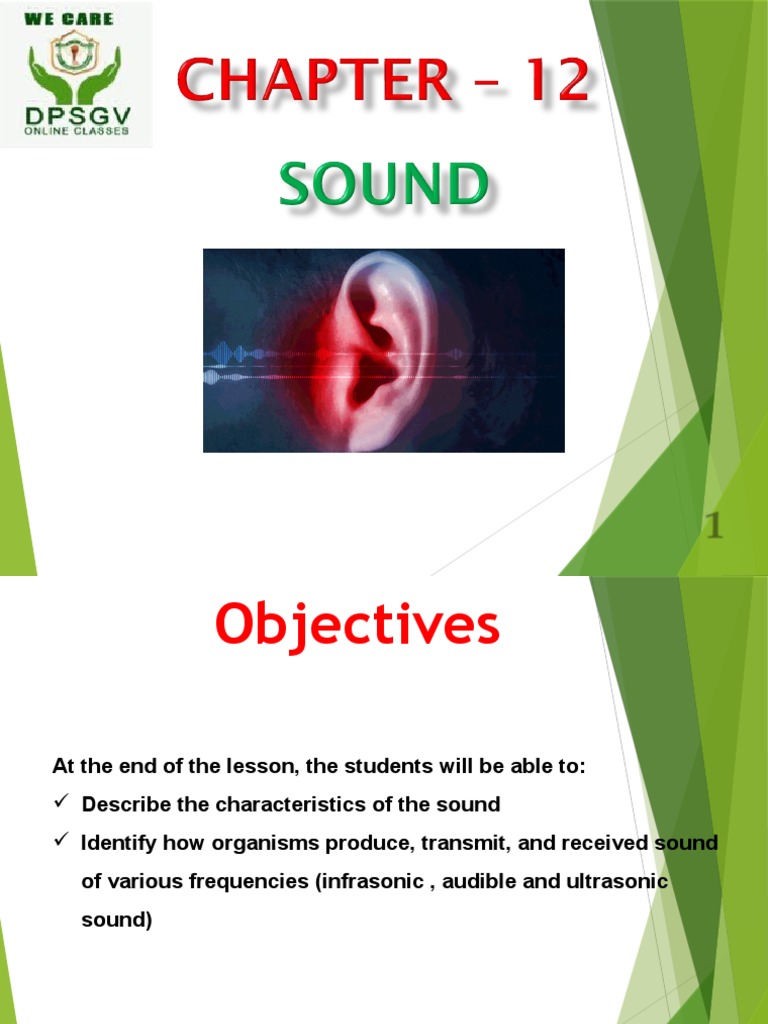Sound Concepts for Class 8 Students | PDF | Ear | Sound