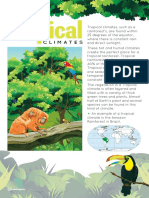 Teachstarter 153854 Poster Climate Zones Tropical