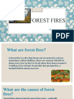 Forest Fires: Efforts By: Honey Patel Roll No-21 Class-8 C