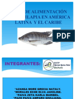 Plan de Alimentación de La Tilapia en América Latina